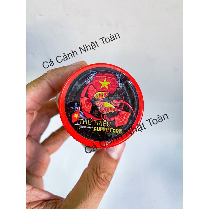 CÁM TRỘN T10 10 THÀNH PHẦN THỨC ĂN CAO CẤP CHO CÁ CẢNH