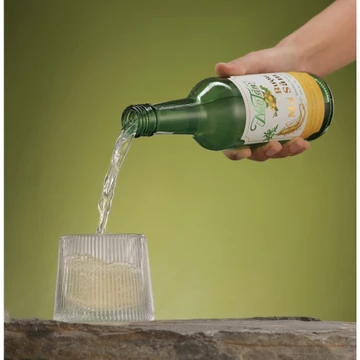 Rượu Mơ Sâm Núi Tản (Ginseng Prime 19) chưng cất từ mơ tươi lên men tự nhiên ngâm cùng Hồng sâm 6 năm Hàn Quốc– 360ml.