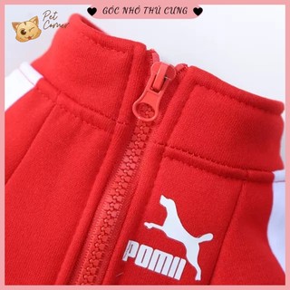 Áo khoác thể thao cho chó mèo - Áo nỉ kéo khóa Pomi cho thú cưng