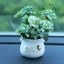 Bộ sưu tập bình hoa giả mini trang trí nhà cửa, bàn làm việc, taplo xe, làm quà tặng