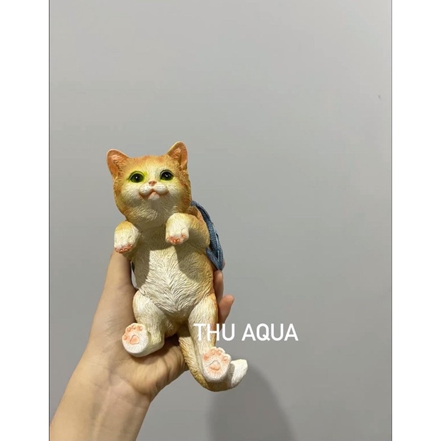 Trang trí bể cá mèo balo đa năng