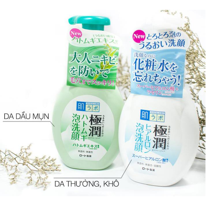 Sữa rửa mặt tạo bọt Hadalabo 160ml