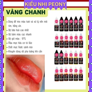Mực phun xăm Hữu Cơ, VÀNG CHANH và 20 màu Mực Nước phun xăm Thẩm Mỹ