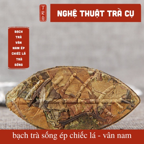 Trà trắng  ép hình chiếc lá của vùng Vân nam lên men sống