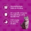 WHISKAS® 1.1kg, 1.2kg Thức ăn hạt có nhân cho mèo con và mèo trưởng thành