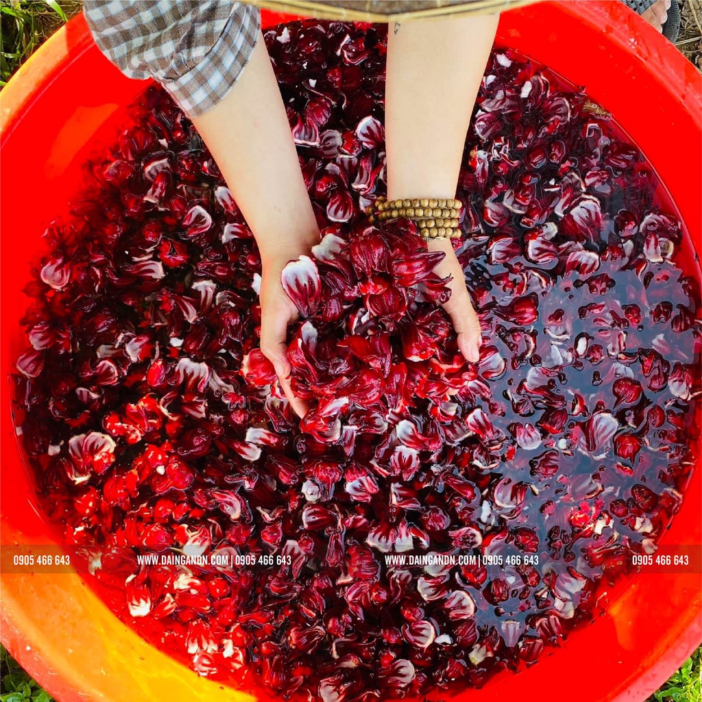 TRÀ HOA HIBISCUS - atiso đỏ - thức dưỡng an lành farm trồng tự nhiên- đóng hộp 100g