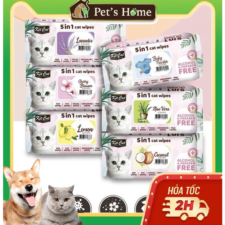 Khăn ướt kháng khuẩn cho mèo Kit Cat | Shopee Việt Nam