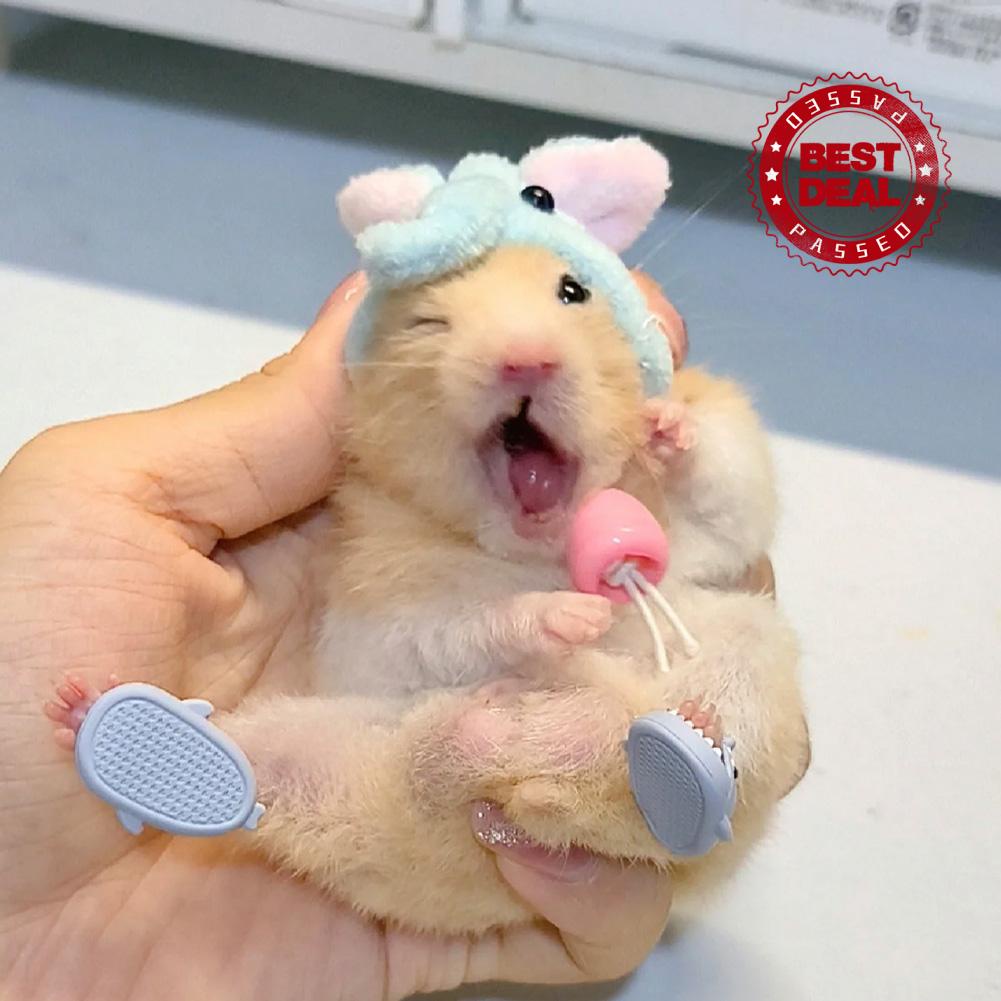 Top 98+ hình nền hamster cute hay nhất - Tin học Đông Hòa