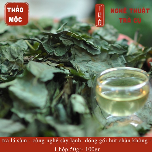 Trà lá sâm ngọc linh sấy lạnh hút chân không hộp thiếc sang trọng 50gr -100gr