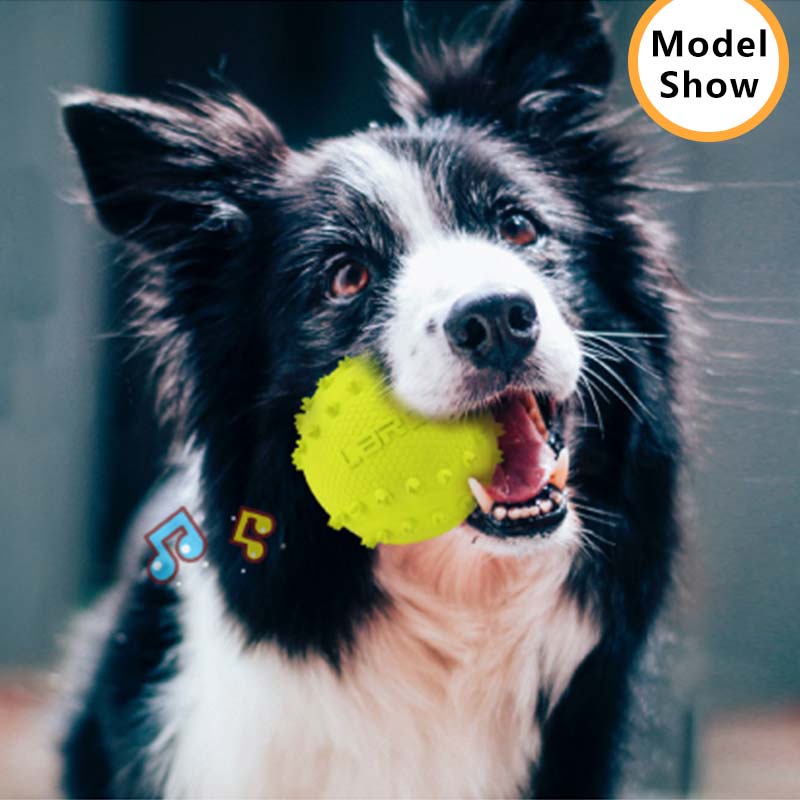 HamshMoc Squeaky Chó Đồ Chơi Thú Cưng Cao Su Bền Răng Hàm Nhai Bóng Có Âm Thanh Cho Tương Tác Ném Huấn Luyện Fetch Đồ Chơi