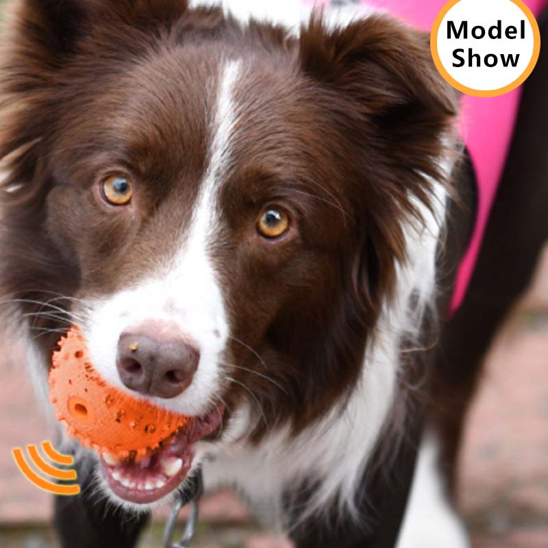 HamshMoc Squeaky Chó Đồ Chơi Thú Cưng Cao Su Bền Răng Hàm Nhai Bóng Có Âm Thanh Cho Tương Tác Ném Huấn Luyện Fetch Đồ Chơi
