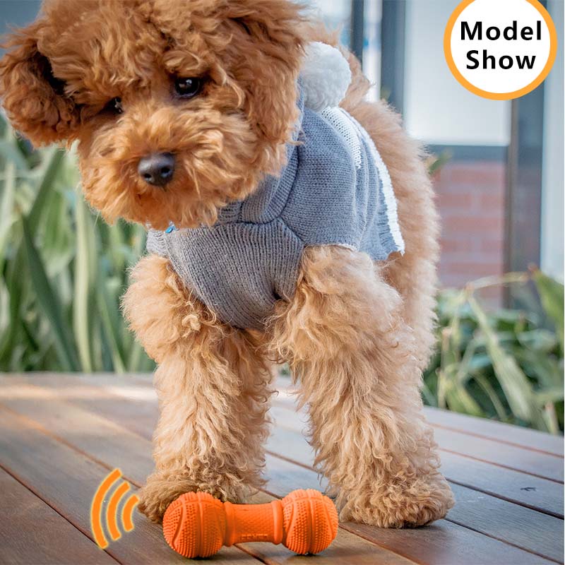 HamshMoc Squeaky Chó Đồ Chơi Thú Cưng Cao Su Bền Răng Hàm Nhai Xương Có Âm Thanh Cho Tương Tác Ném Huấn Luyện Fetch Đồ Chơi