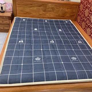 Tấm Trải Đệm Topper Nệm Trải Giường Trải Sàn Siêu Mỏng Cho Cả 4 Mùa ...