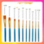 Bộ 10 Cọ Vẽ Màu Nước Cơ Bản Cán Nhựa Đầu Cọ Bằng Sợi Nylon HUNGACOLOR