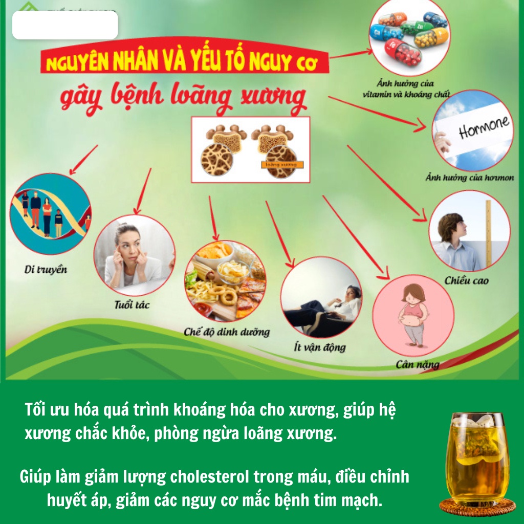 Trà Túi Lọc Hỗ Trợ người Loãng xương, Duy trì khả năng tái tạo xương, hạn chế nguy cơ gãy xương - CALEN NATURE FARM
