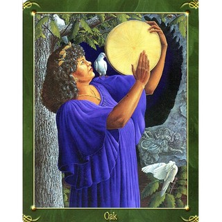 Bộ Bài Green World Oracle (Mystic House Tarot Shop) - Bài Gốc Authentic Chính Hãng 100%
