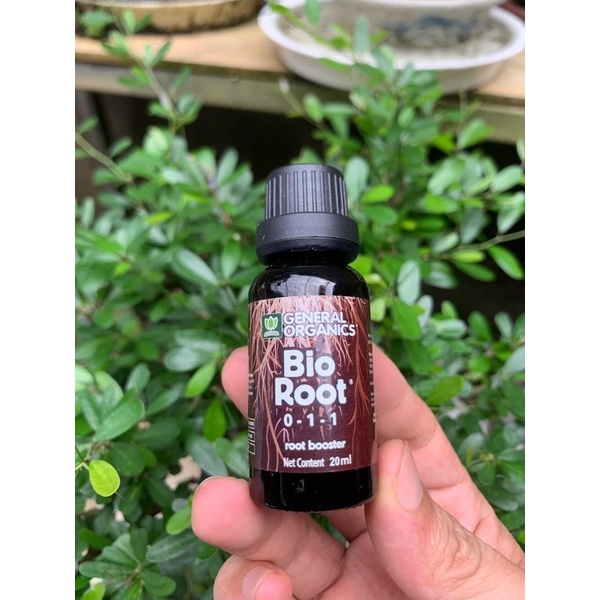 Bio Root (kích rễ) | Shopee Việt Nam