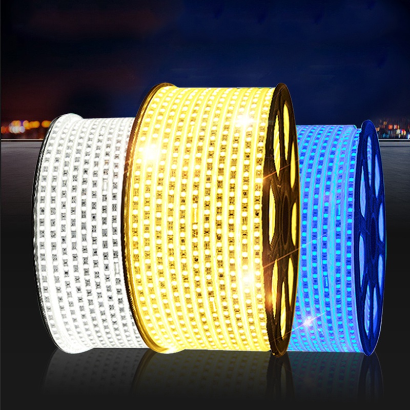 100M Đèn Led dây đôi 5730 siêu sáng 2 hàng | Shopee Việt Nam