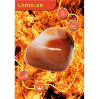 Bộ Bài Gems Oracle Cards (Mystic House Tarot Shop) - Bài Gốc Authentic Chính Hãng 100%