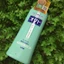 Dầu gội giảm gàu Lion Nhật Bản 320ml