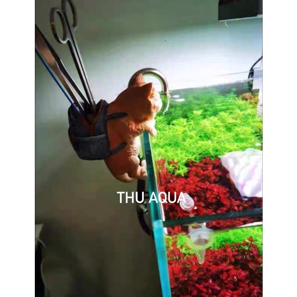Trang trí bể cá mèo balo đa năng