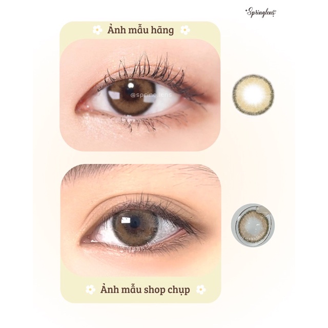 Kính áp tròng Beige nâu OLI L-BROWN (Olivia) viền style Hàn 1 tháng | Spring Lens