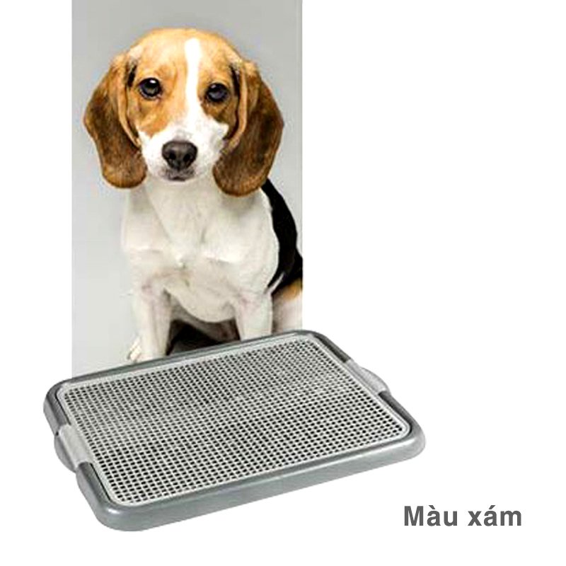 Khay vệ sinh lưới cho chó PURMI màu Hồng/ Xám/ Xanh