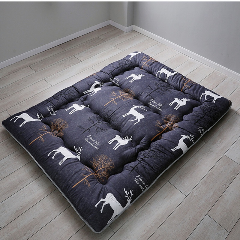 Đệm Topper Văn Phòng, Gia Đình, Tấm Đệm Siêu Ấm Cho Mùa Đông | Shopee ...