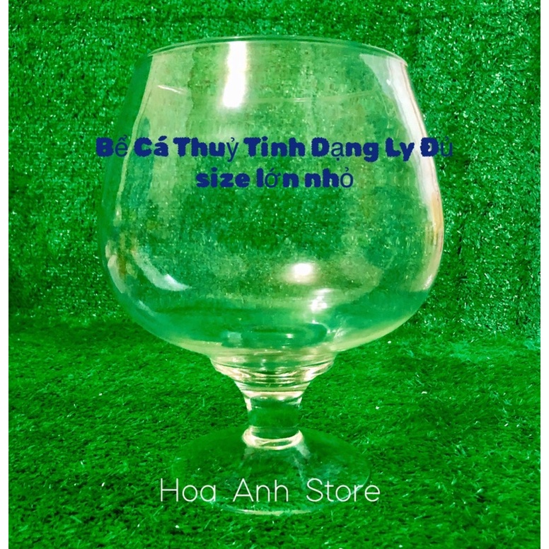 Bể Cá Thủy Tinh Hình Dạng Ly Có Chân - Kiểu Dáng Đẹp, Tinh Tế, Phù Hợp ...