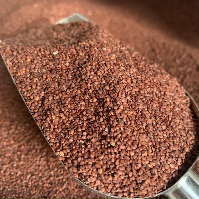 Mặt Nạ Ngũ Hoa - Hạt Đình Lịch Sạch Nguyên Chất ( Gói 1kg )
