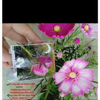 KHUÔN CẮT LÀM ĐÀI HOA 8 CÁNH , 5 cánh ,làm CÚC CÁNH LIỀN , ĐÀI DÂU TÂY