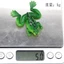 Bộ 2 con Mồi Câu Cá Giả Hình Con Ếch Độc Đáo Câu Cá Hình Con nhái Super Frog Lure