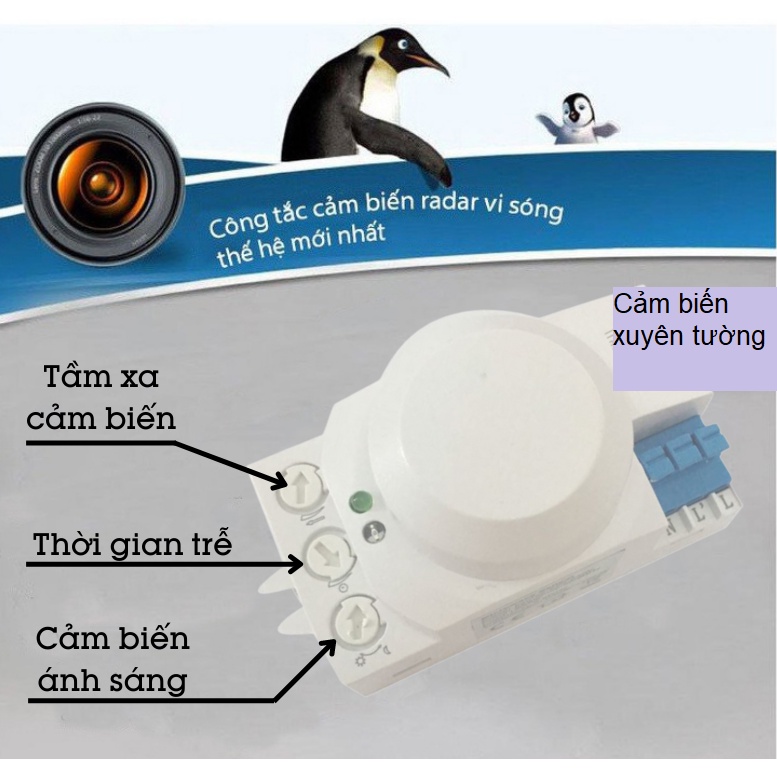 RD03 - Công tắc cảm biến chuyển động Radar vi sóng siêu nhạy-Tự động ...