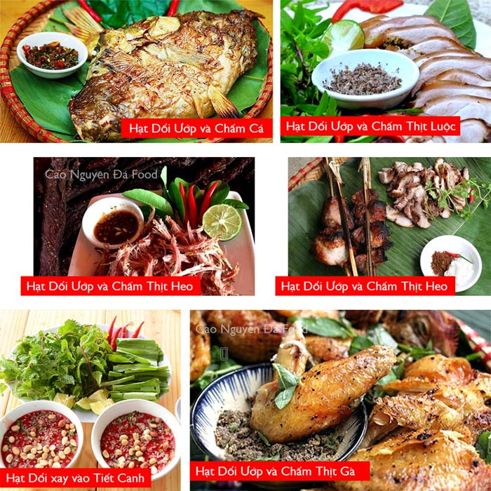 Hạt dổi nếp Tây Bắc Chuẩn ướp gia vị nướng, pha chấm thơm ngon (40 hạt to)