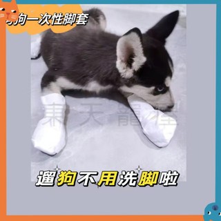 Thú Cưng Dùng Một Lần Chân Có Bán Chạy Tất Thú Cưng Dùng Một Lần Giày Thú Cưng Chống Bụi Bẩn Bảo Vệ Chó Giày Ngoài Trời Có Thú Cưng Miễn Phí Chân Rửa