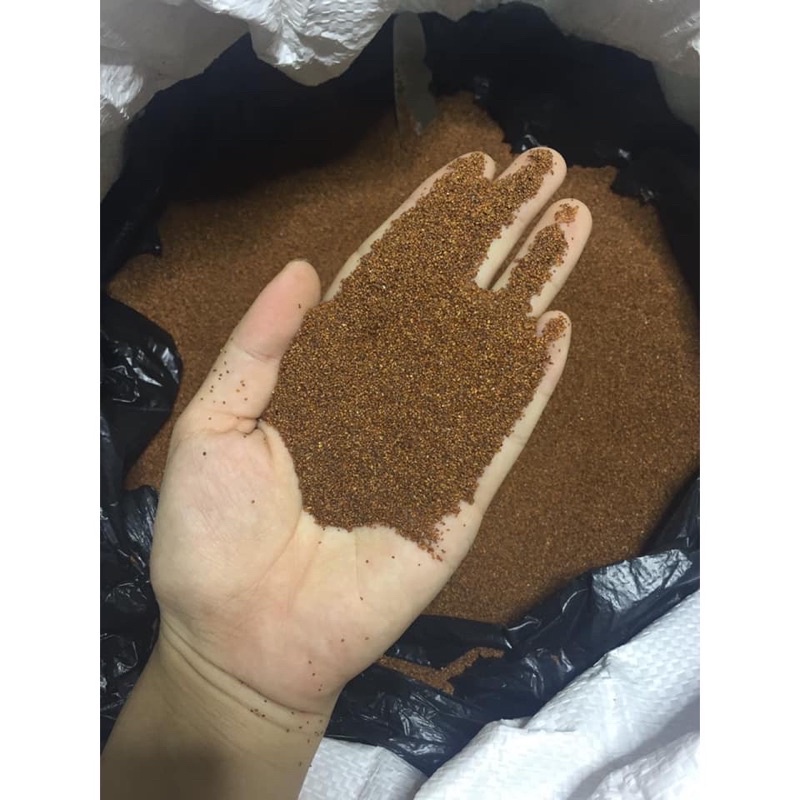 Mặt Nạ Ngũ Hoa - Hạt Đình Lịch Sạch Nguyên Chất ( Gói 1kg )