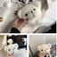 Túi Messenger ESSENCEH Cho Trẻ Em Trẻ Em Túi Mini Bé Gái Ví Sang Trọng
