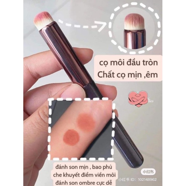 Cọ Tán Son Môi đa năng