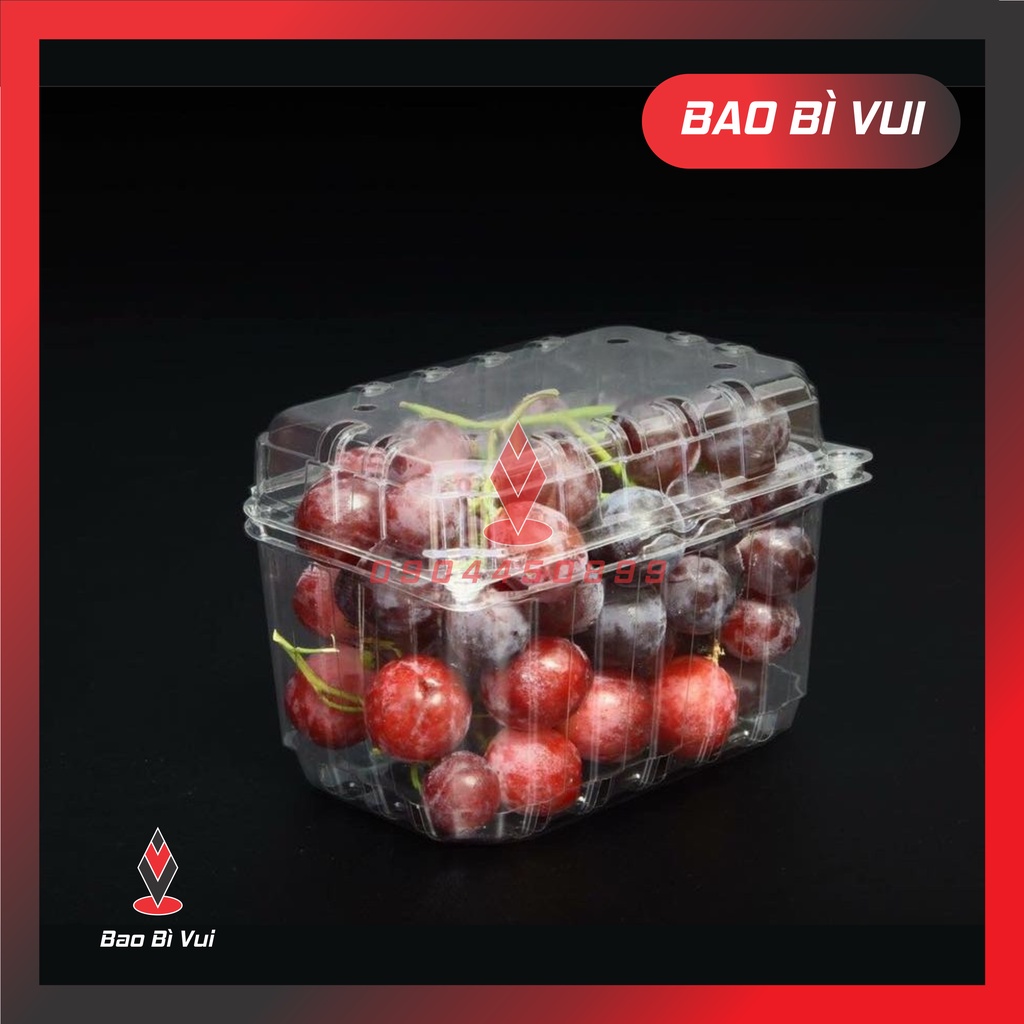 Lốc 100 Hộp đựng trái cây có lỗ thông hơi - BAO BÌ VUI
