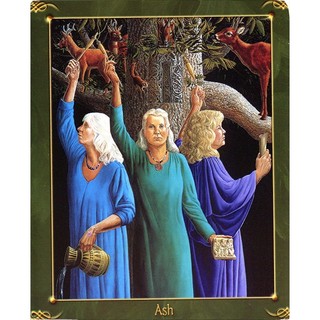 Bộ Bài Green World Oracle (Mystic House Tarot Shop) - Bài Gốc Authentic Chính Hãng 100%