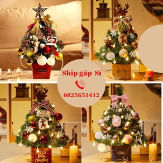 ảnh cây thông noel giá tốt Tháng 10, 2024 | Mua ngay | Shopee Việt Nam