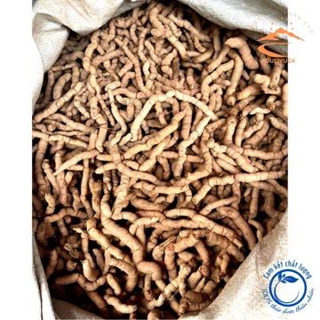 Ba kích tím, ba kích tươi, ba kích ngâm rượu, ba kích rừng vùng núi cao Tây Bắc