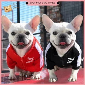 Áo khoác thể thao cho chó mèo - Áo nỉ kéo khóa Pomi cho thú cưng