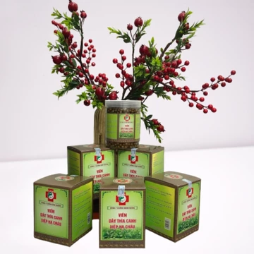 Viên dây thìa canh diệp hạ châu Đông Y Dưỡng Sinh Đường 350g, hạ đường huyết, giảm biến chứng bệnh tiểu đường