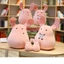 Quà tặng mặt dây chuyền đồ chơi sang trọng Hanako-kun Rabbit
