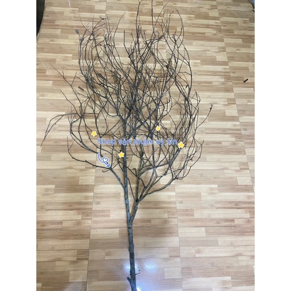 cành củi trang trí siêu to ngẫu nhiên 1-1,4m | Shopee Việt Nam