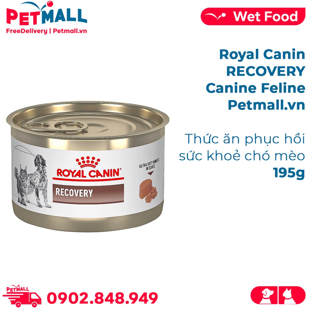 Pate Royal Canin RECOVERY Canine Feline 195g - Thức ăn phục hồi sức ...