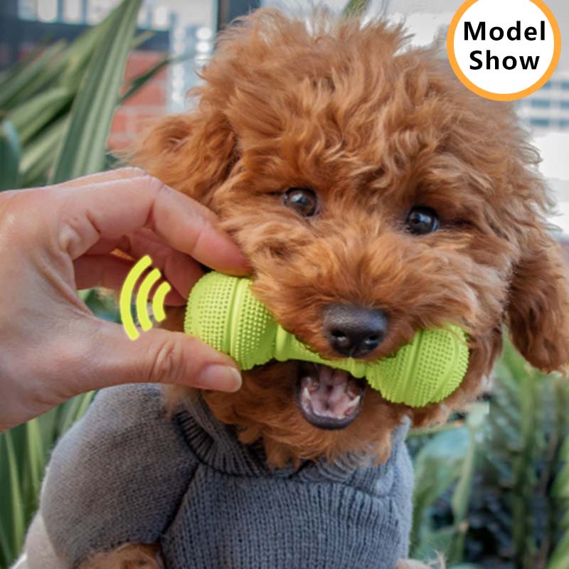 HamshMoc Squeaky Chó Đồ Chơi Thú Cưng Cao Su Bền Răng Hàm Nhai Xương Có Âm Thanh Cho Tương Tác Ném Huấn Luyện Fetch Đồ Chơi