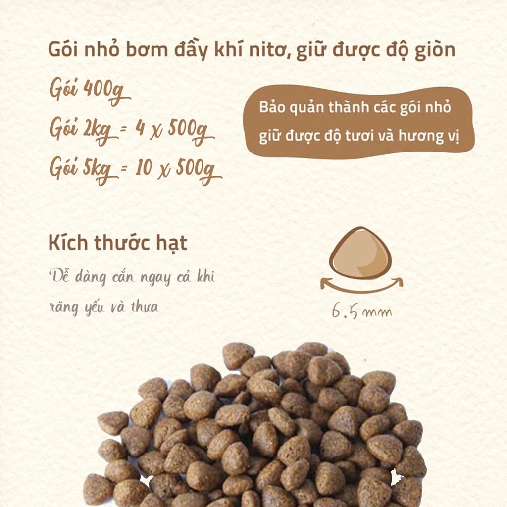 Hạt Cho Mèo Con Natural Core Bene C1