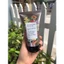 Sữa rửa mặt thảo mộc Machere Botanical 120g